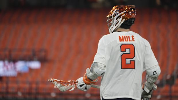 Mule
